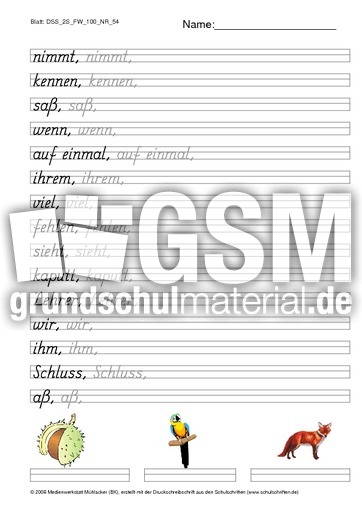 DSS_2S_FW_100_NR_54.pdf